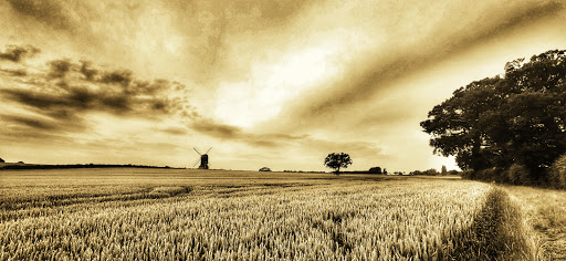 Stevington Windmill - Visual