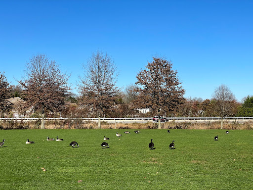 Paper Mill Park - Visual