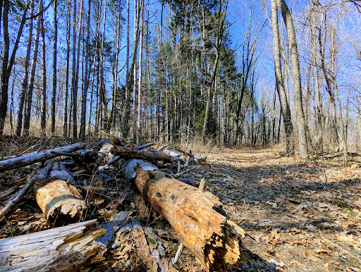 Bath Rd Trailhead - Visual