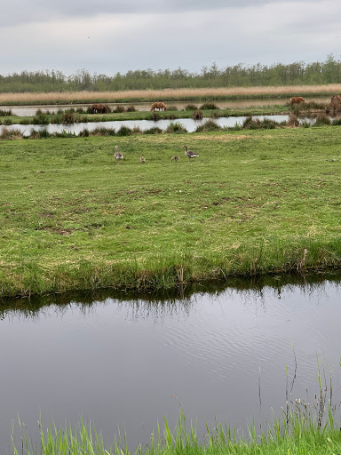 Natuurkampeerterrein De Reidplûm - Thumbnail