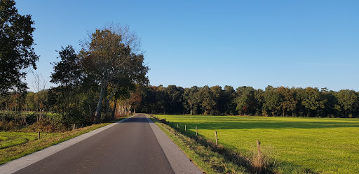 Beertjes Hoeve Recreatiepark - Thumbnail
