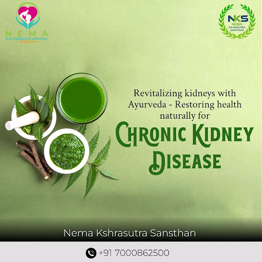 Revitalizing kidneys with Ayurveda - naturally restoring health. post image