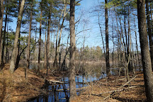 The Nature Trail And Cranberry Bog, Foxborough, United States