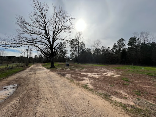Pine Top Park - Thumbnail