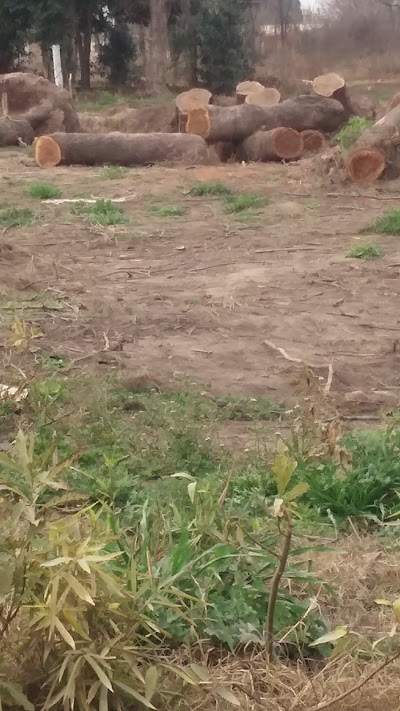 Photos of A.R.A.C. Asociaci&oacute;n Regional Agropecuaria C&oacute;rdoba