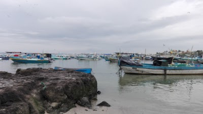 Photos of Seafood Market Santa Rosa