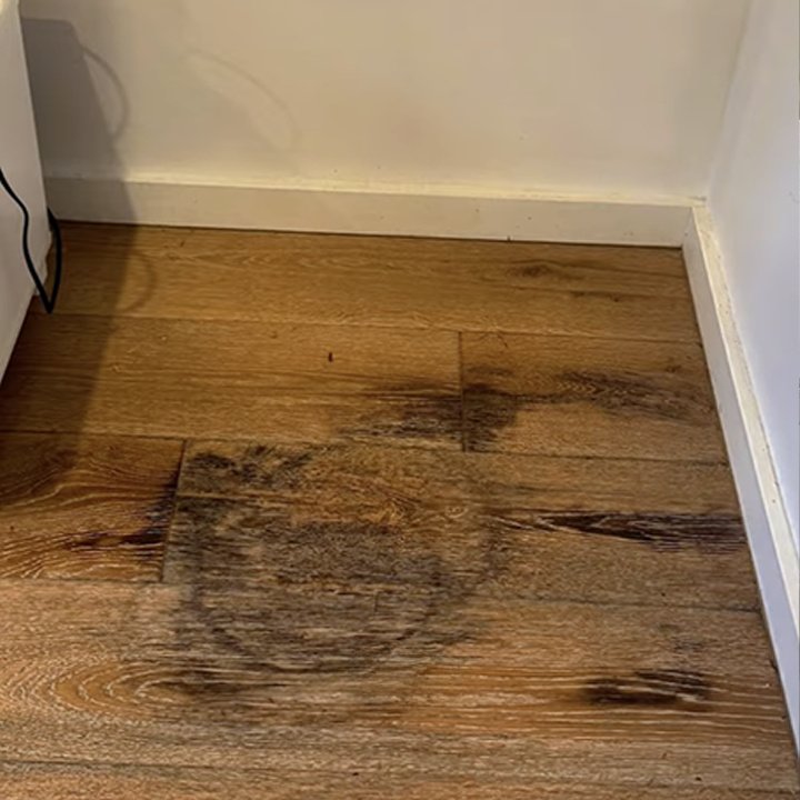 EzFix WD Restoration Mesa photo