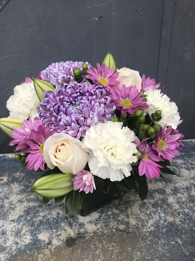 Anixis Darling Floral Studio - Thumbnail