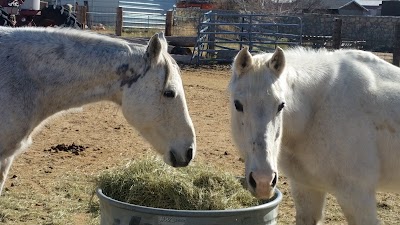 The Original Underwood Stables