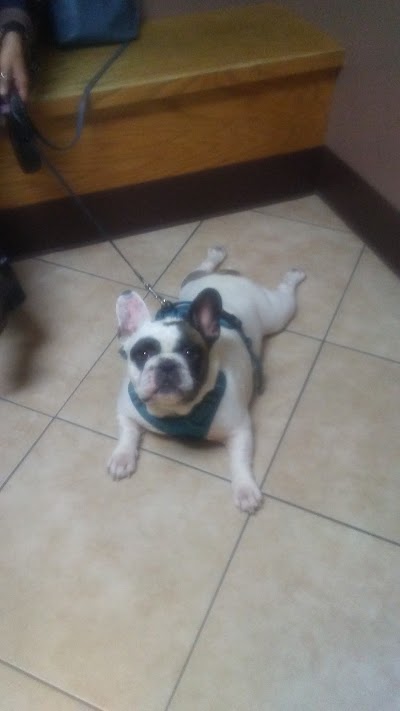 Photos of Pet Vet Family Pet Care Center