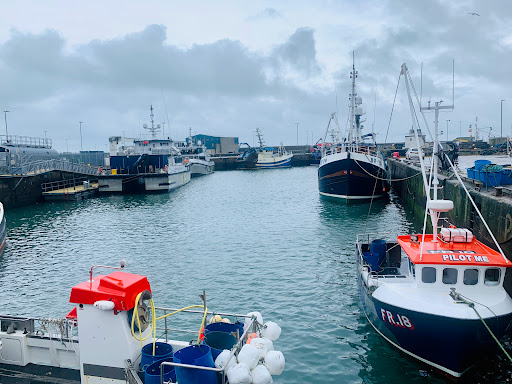 Fraserburgh Harbour Lighthouse - Thumbnail