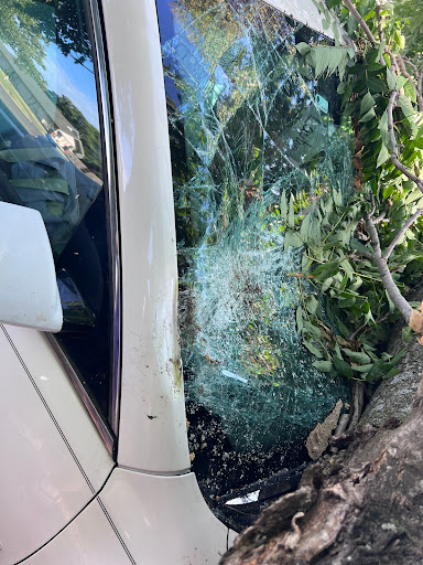 Tanner's Collision Center - Thumbnail