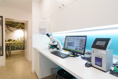 Mon Chat Et Moi Veterinaire A Reze Loire Atlantique Pays De La Loire 33 2 52 59 47 85