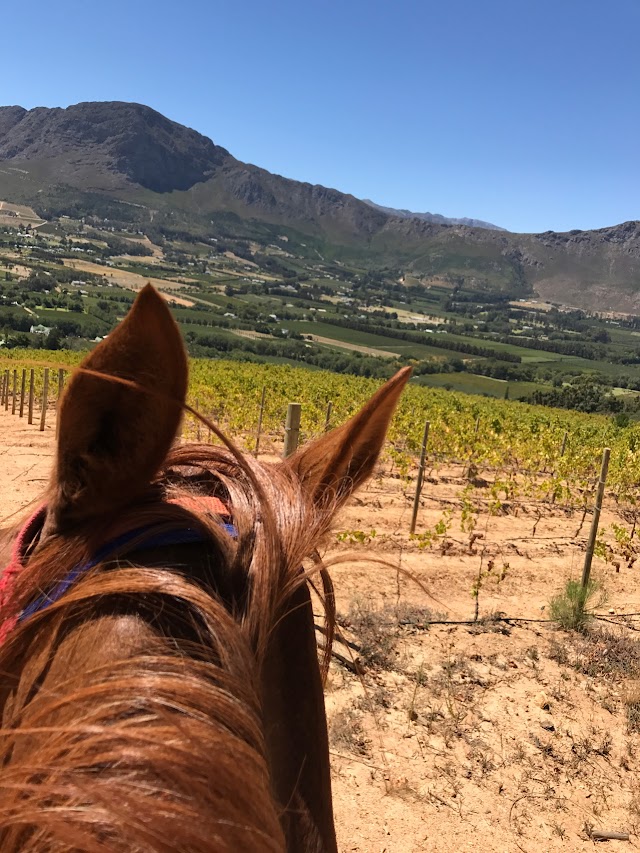 Paradise Cottages and Stables, Franschhoek