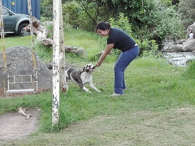 Photos of Pte Rojo
