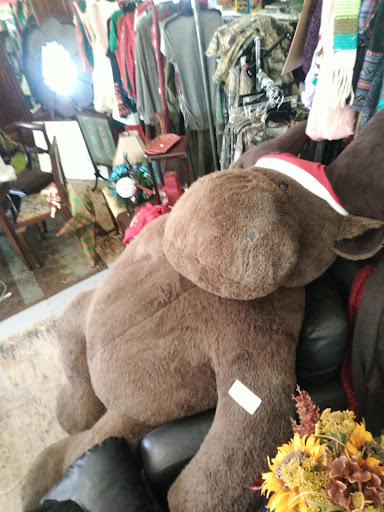 Fancy Finds