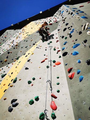 Energy walls climbing hall Weimar Gallery - Germany