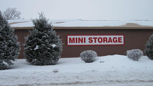 Mini-Storage Inc