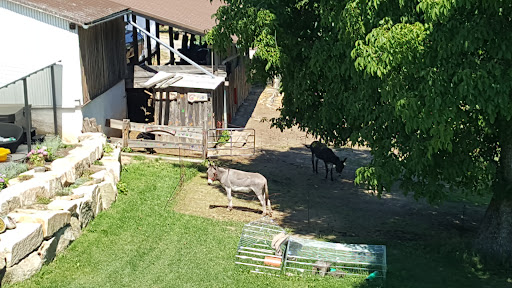Ferienwohnungen Öller