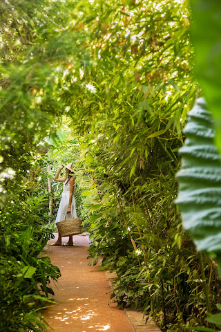 Salvaterra Country House & Spa by null