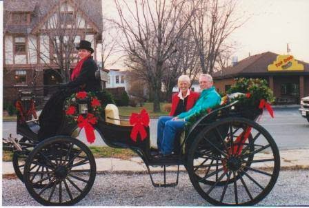 Buggies and Things Horse Drawn Carriage Service - Thumbnail