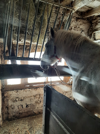 Ranch De Chadenac - Thumbnail