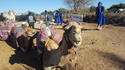 Photos of Marrakech Promenade Sensations