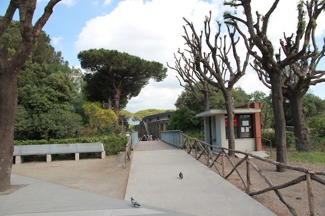 Amphithéâtre de Pompéi