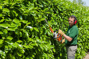 Photo n°1 de O2 Jardi-Brico Marseille à Aubagne (Service d'entretien de pelouse)