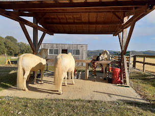 Photo n°12 de Equitation, Elevage Le Thoumas à Faget-Abbatial (Centre équestre)