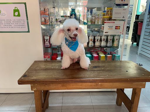 CLINICA VETERINARIA INTEGRAL