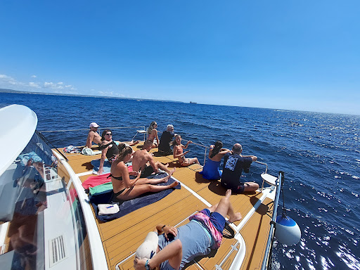 ECO CATAMARAN E-sea Mallorca Experience - Thumbnail