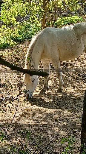 Amre Association Montlivault Walking Equestre - Thumbnail