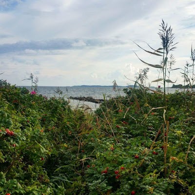 Photos of Skallevold Camping