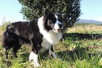 曽我パーキング