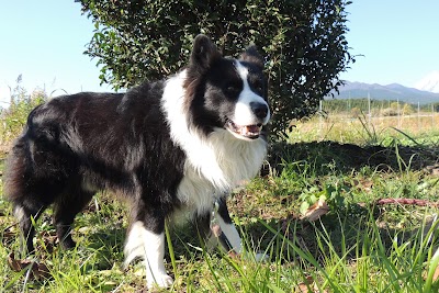 曽我パーキング