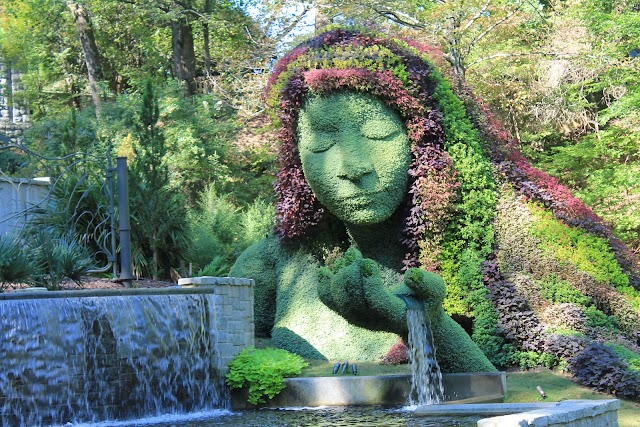 Atlanta Botanical Garden