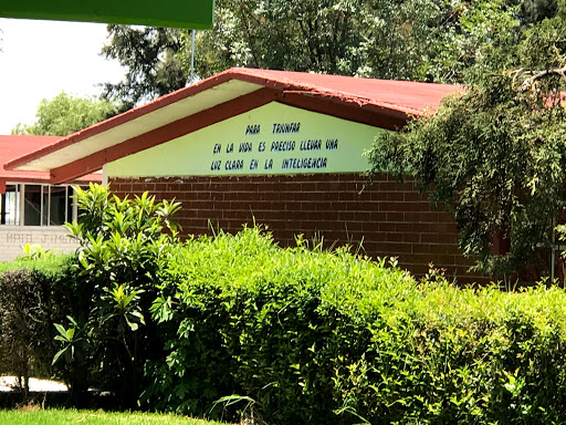 Escuela Secundaria Tecnica 59 - Thumbnail
