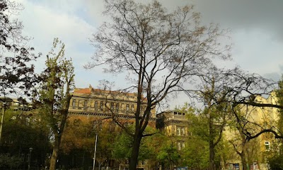 Photos of Semmelweis University II. No. Of Internal Medicine