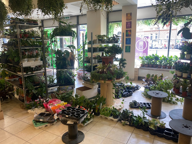 Moai Jungle - Virágárus