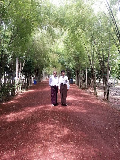Photos of Dhamma Yawai Meditation Center