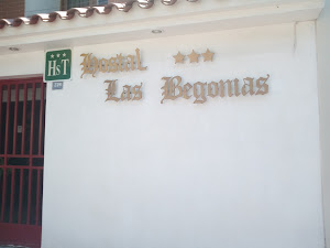 Hostal Begonias 5