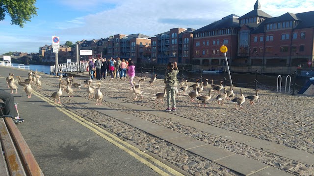 City Cruises York King's Staith Landing