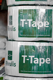 Photo n°19 de Agrisem SAS - Optimis' Culture à Tonnay-Charente (Pépinière)