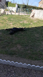 Photo n°10 de Gite Les vetos à Mhère (Lodge)