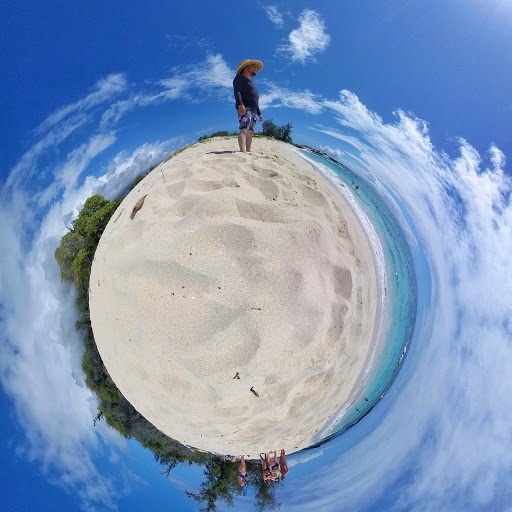 Silver Fox 360 - Visual
