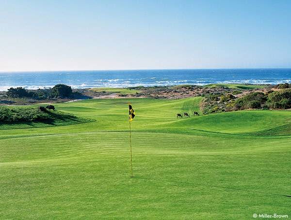 AF1QipOWe7AAP APWHXu7njc2vNeawagUdOc Qe01IPN=w800 h500 k no