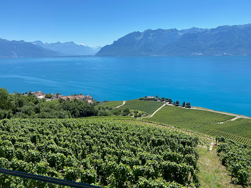Chantal & Max Switzerland Travel Design - Thumbnail
