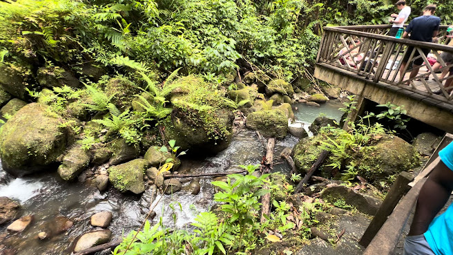 Emerald Pool by null