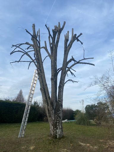 LES TRAVAUX GAGNANTS - Courtier en travaux Gallery - France